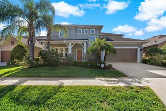 1317 Lorea Ln, Brandon, FL 33511