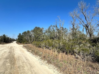 0 NE 67th Ln, Williston, FL 32696