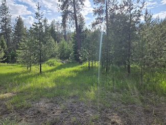 26XX Sand Canyon Lot 3 Rd, Chewelah, WA 99109