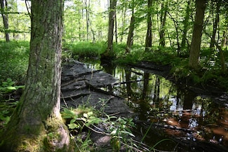 0 E 36th St Unit 25219646, Big Prairie Township, MI 49337