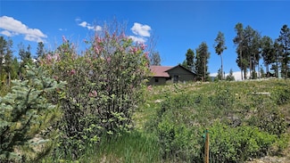 118 Gcr 4947, Grand Lake, CO 80447