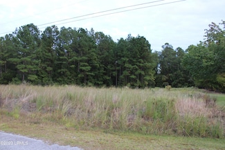 00 Mcgowan St, Hampton, SC 29924