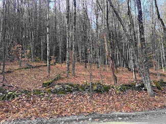 00 E Putney Brook Rd, Putney, VT 05346