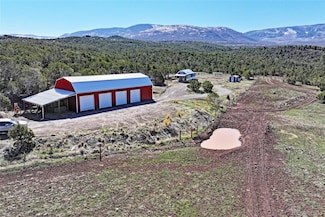 56001 Kk Rd, Molina, CO 81646