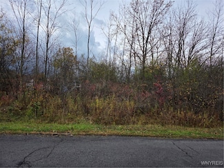 VL Fourth Ave S, Niagara, NY 14305