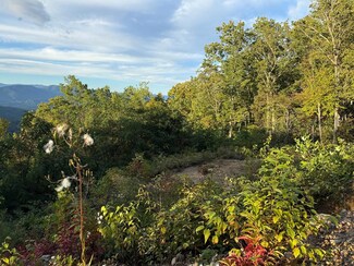 585 Cardinal Bluff Rd, Whittier, NC 28789