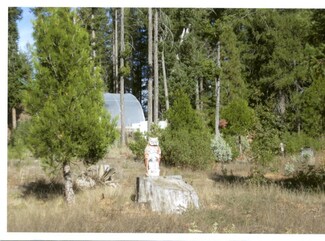 290 Quinn Ln, Hayfork, CA 96041