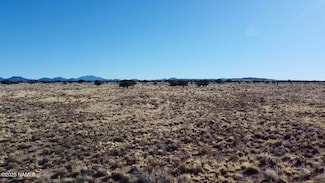 684 E Yale Ave, Valle, AZ 86046