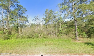0 Robin St, Bay Saint Louis, MS 39520