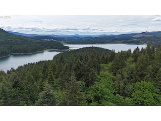 83715 Peninsula Rd, Fallcreek, OR 97438
