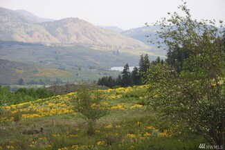 260 Rendezvouz Rd, Winthrop, WA 98862