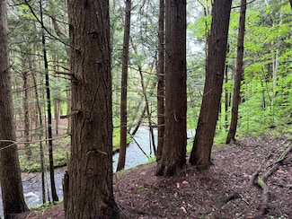 0 Jones Hill Rd, German, NY 13801