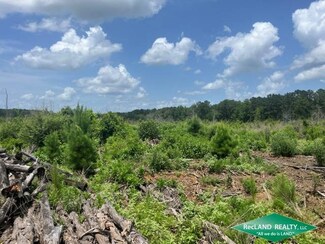 0 Nebo Rd, Jamestown, LA 71045