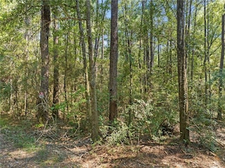 6911 Old Citronelle Hwy, Eight Mile, AL 36613