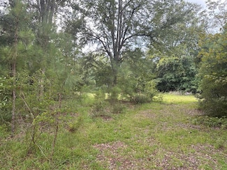 0 S Hwy 19, Glenwood, GA 30428