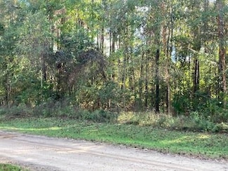 0 Lake Dr, Angie, LA 70426