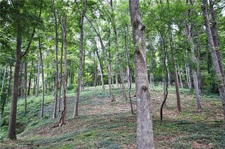 99999 Brookwood Rd Unit 5, Asheville, NC 28804