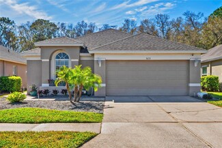 5211 Gato Del Sol Cir, Wesley Chapel, FL 33544