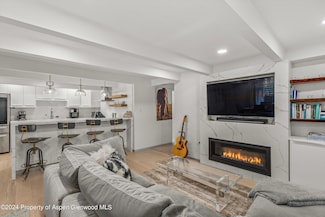 731 E Durant Ave Unit 2, Aspen, CO 81611