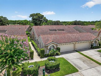 3874 Darston St, Palm Harbor, FL 34685