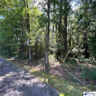 000 N Grooms Dr (Lot 31), Lamar, SC 29069