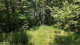 000 Chestuee Dr NE, Cleveland, TN 37323