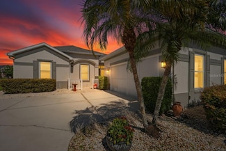 2225 Preservation Green Ct, Sun City Center, FL 33573