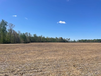 E E L Walker Rd, Paris, TN 38242