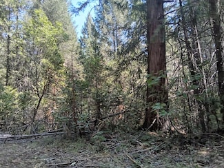 0 Just Rd Unit 225114099, Iowa Hill, CA 95713