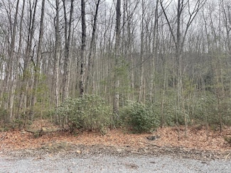 0 Highway 217 Unit 25005121, Middlesboro, KY 40965