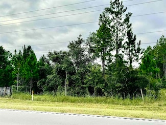 0 Highway 98 Unit 653269, Elberta, AL 36580