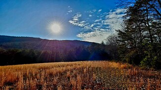 tbd Reesedale Rd, Elliston, VA 24087