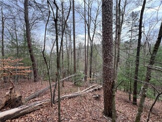 0 Rustic Way, Ellijay, GA 30540
