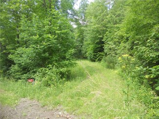 0 Allegany Rd, Randolph, NY 14772