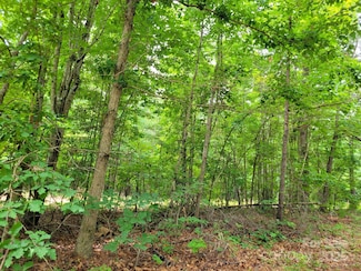00 Dairy Rd, Troy, NC 27371