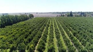 0 River Rd Unit 225129439, Courtland, CA 95615