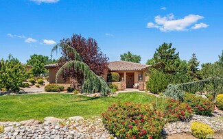 1045 Whites Creek Ln, Reno, NV 89511