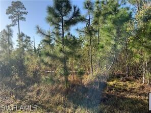2804 E 11th St, Lehigh Acres, FL 33972