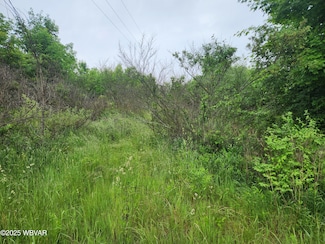 0 Burlington Turnpike, Towanda, PA 18848