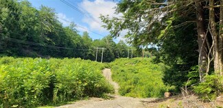 0 Jackson Lot Rd Unit 4823396, Winchester, NH 03470