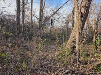 tbd Mad Hatter Ln, Township 1, NE 68142