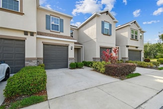 6825 Citrus Creek Ln, Tampa, FL 33625