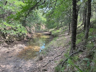 County Road 291, Early, TX 76802
