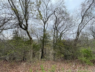 29 Cypress Point Ln, Eureka Springs, AR 72631