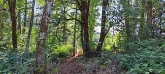 0 Loop Lot 2 Rd Unit NWM2132651, Centralia, WA 98531
