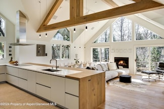 725 Castle Creek Dr, Aspen, CO 81611