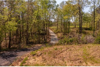 000 Cohutta Beaverdale Rd, Cohutta, GA 30710