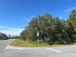 0 Coronet Ave Unit MFRO6360639, Orlando, FL 32833