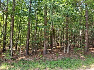 0 Twin Bridges Rd Unit 57536, Prince Edward, VA 23942