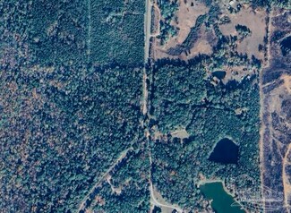 0 Pettus Rd, Lapine, AL 36046